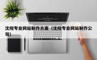 连云港沈阳专业网站制作方案（沈阳专业网站制作公司）